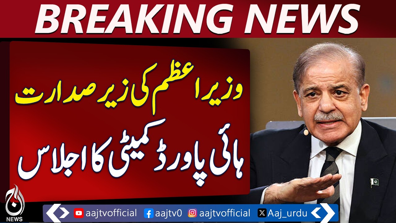 Pakistan High-Powered Committee | PM Shahbaz Sharif | Petroleum Stock & Consumption - Aaj News