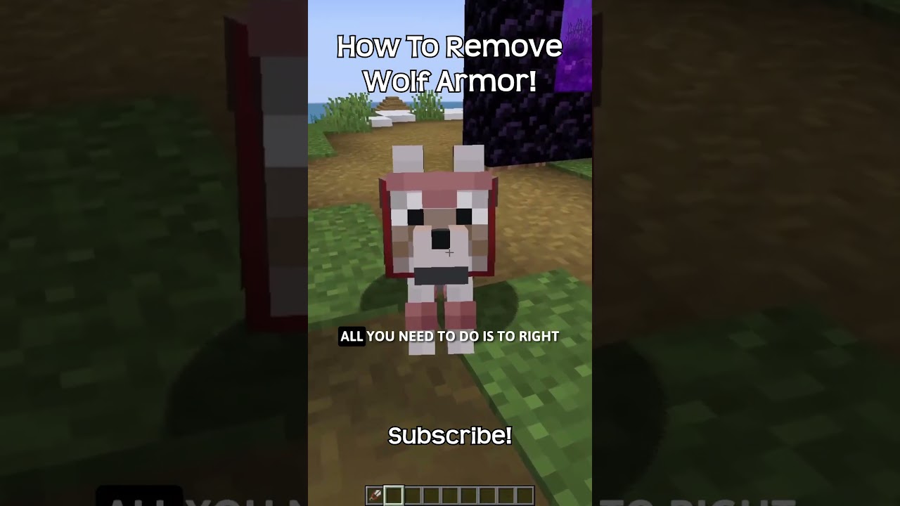 How To Remove Wolf Armor In Minecraft!
