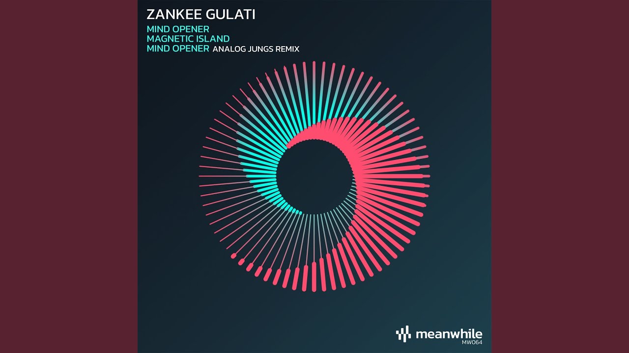 Mind Opener (Analog Jungs Remix)