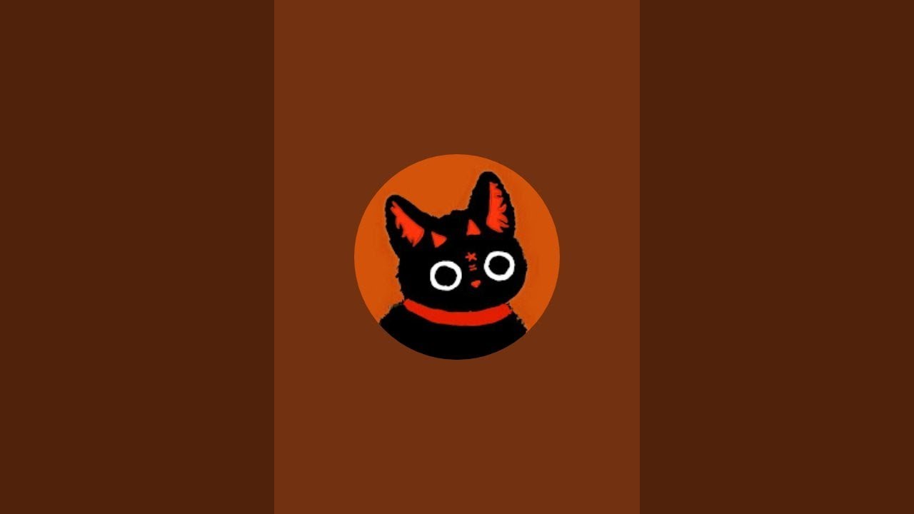 C0DYtheC4T is live!