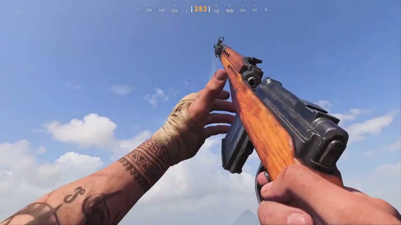Vanguard Weapons with MW2019 Sounds Pt. 1