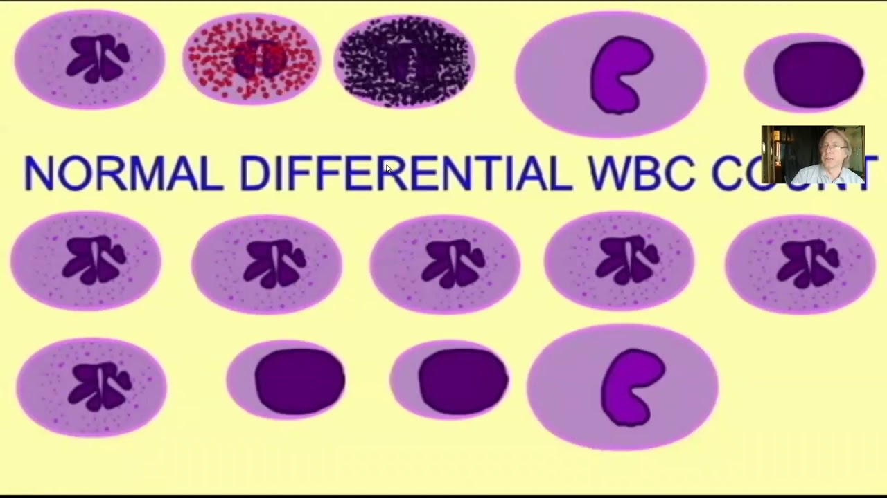 blood test analysis
