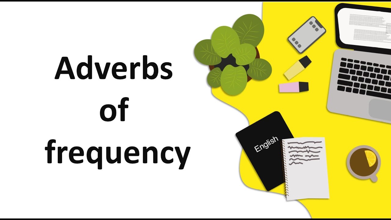 Прислівники частотності в англійській мові. Adverbs of frequency