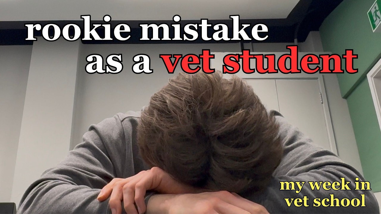 my stupid mistake in a vet clinic | Vet School Vlog