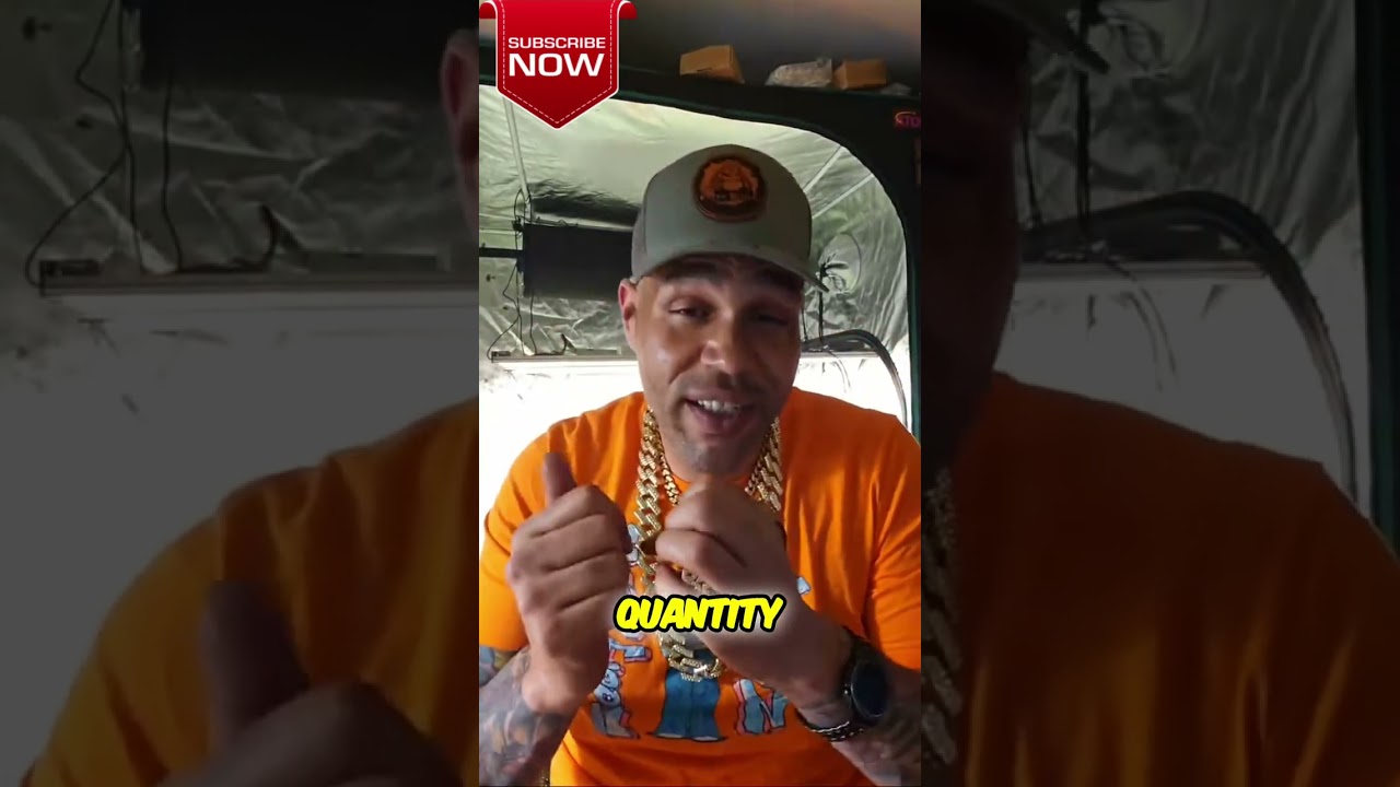 Preserving Rare Genetics: How We Bring Vintage Strains Back to Life