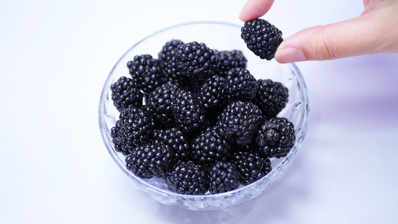 【ASMR】ブラックベリー　Blackberry Eating Sounds No Talking【咀嚼音】