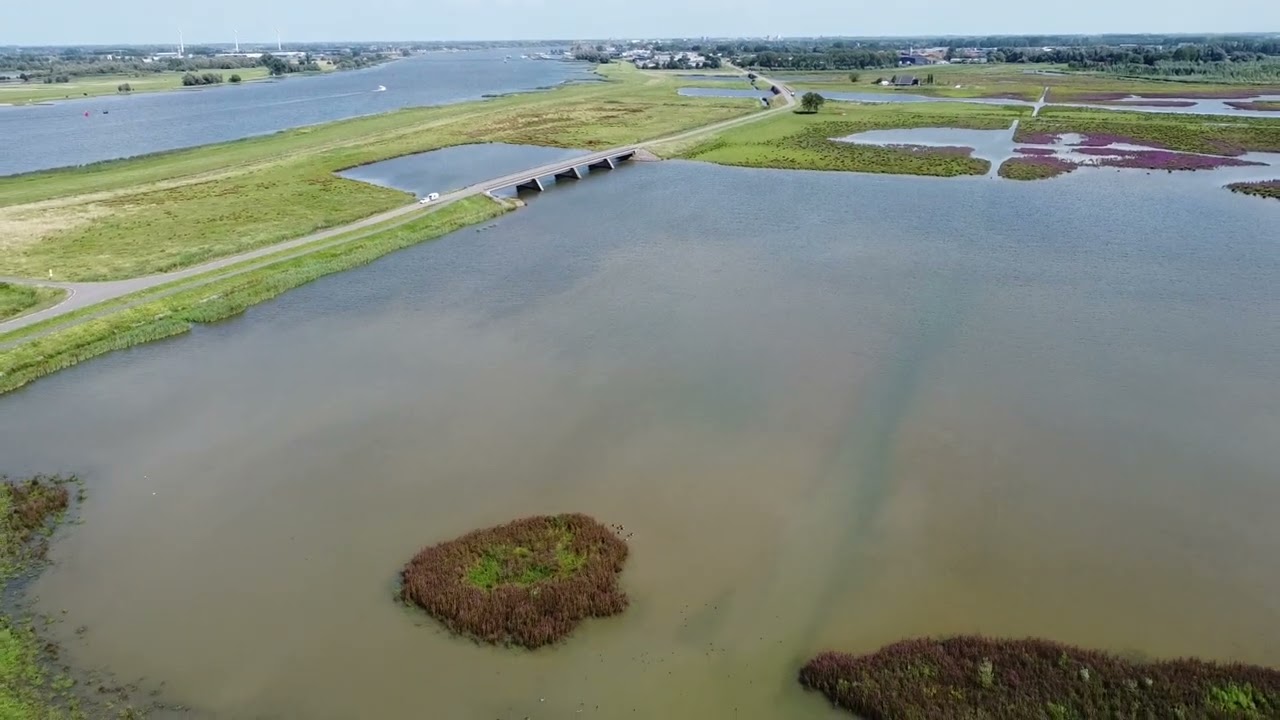 Natuurpracht Nabij de Biesbosch: Delta & Heide van Boven