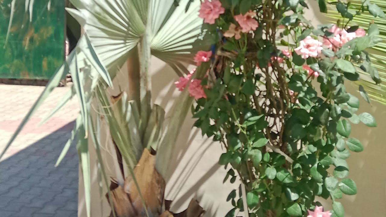 hello everyone welcome radhe radhe 🙏