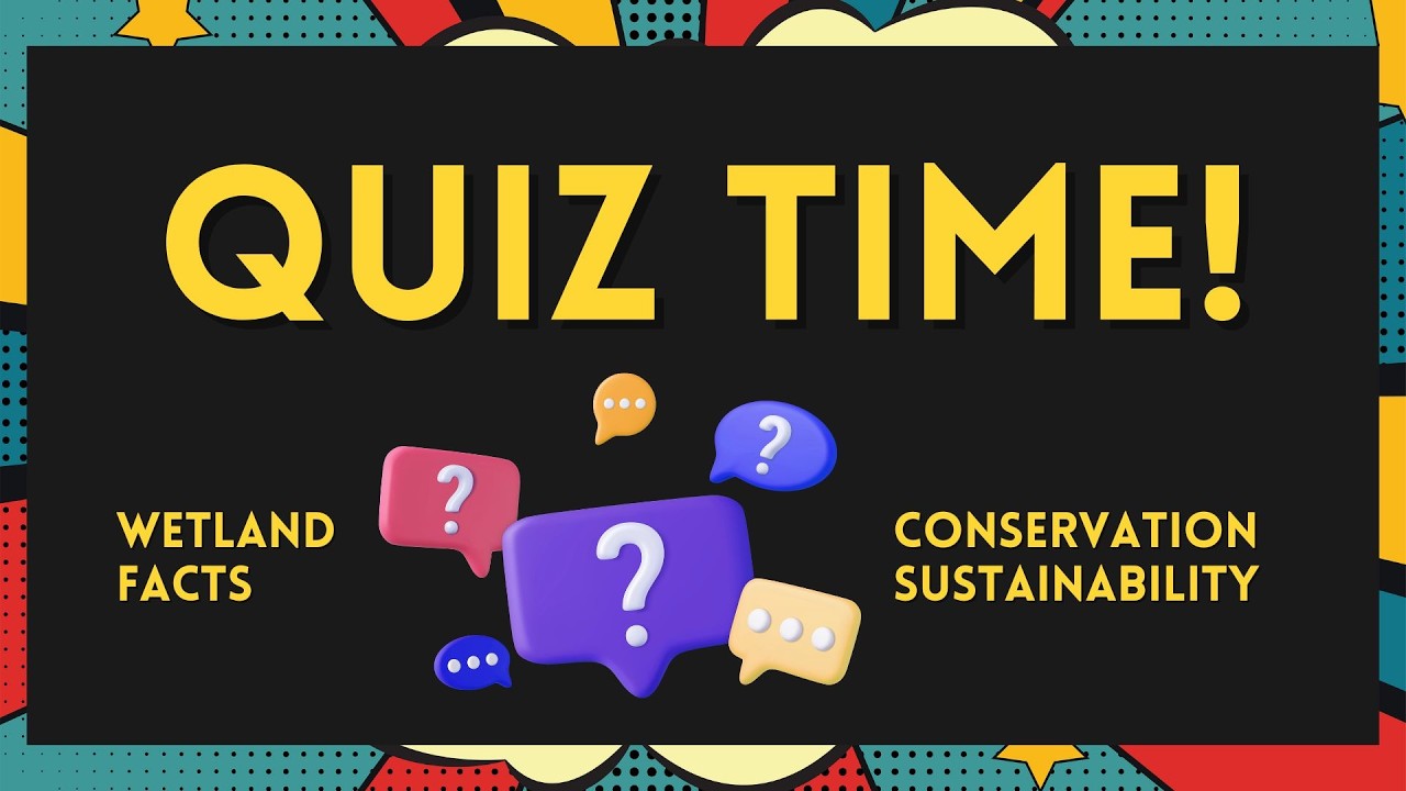 QUIZ: Urban Wetlands Matter — Nature Lives Here.QUIZ: