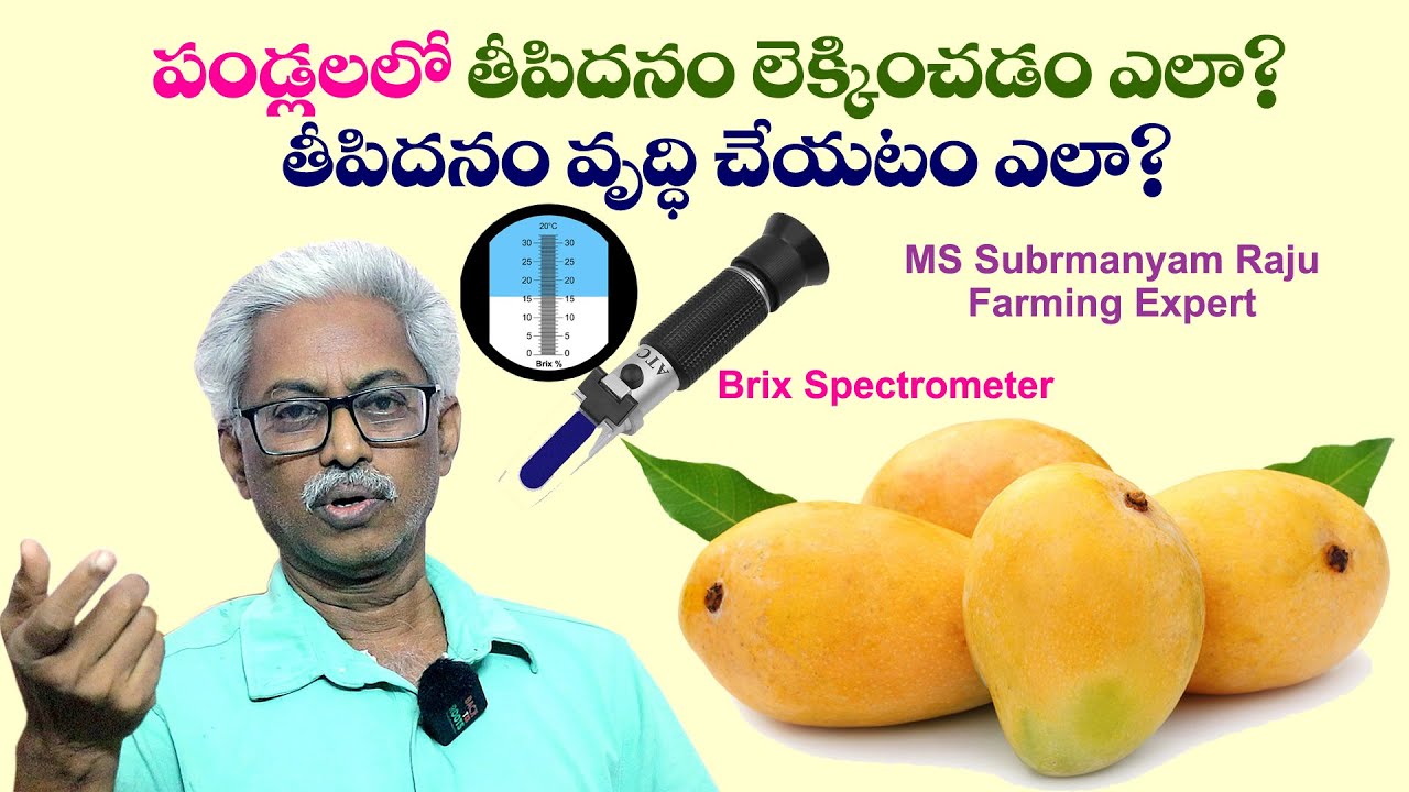 పండ్లలలో తీపిదనం లెక్కించడం ఎలా? తీపిదనం వృద్ధి చేయటం ఎలా?MS Subramanyam Raju||