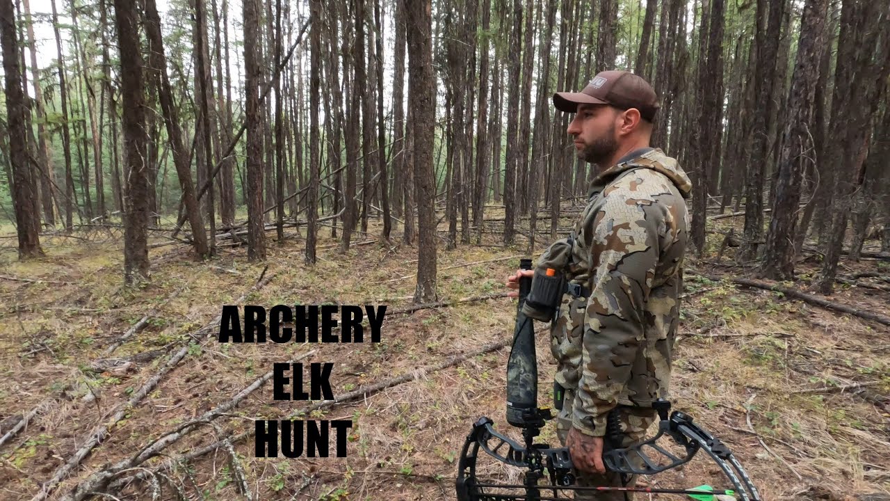 BC Elk Hunt 2025: Archery Weekender