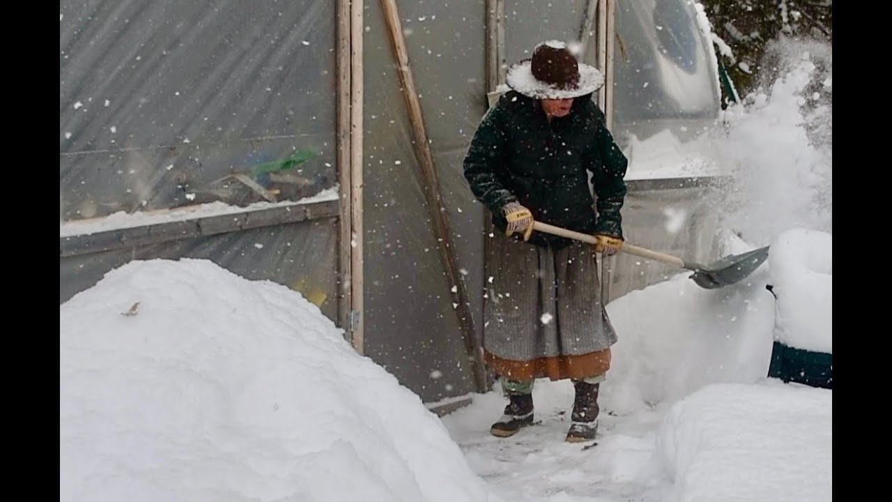 Confronting The snowstorm Of '26