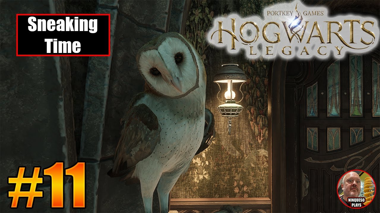 Hogwarts Legacy | Part 11 | Sneaking into the Restricted Section | Ninqueso Plays