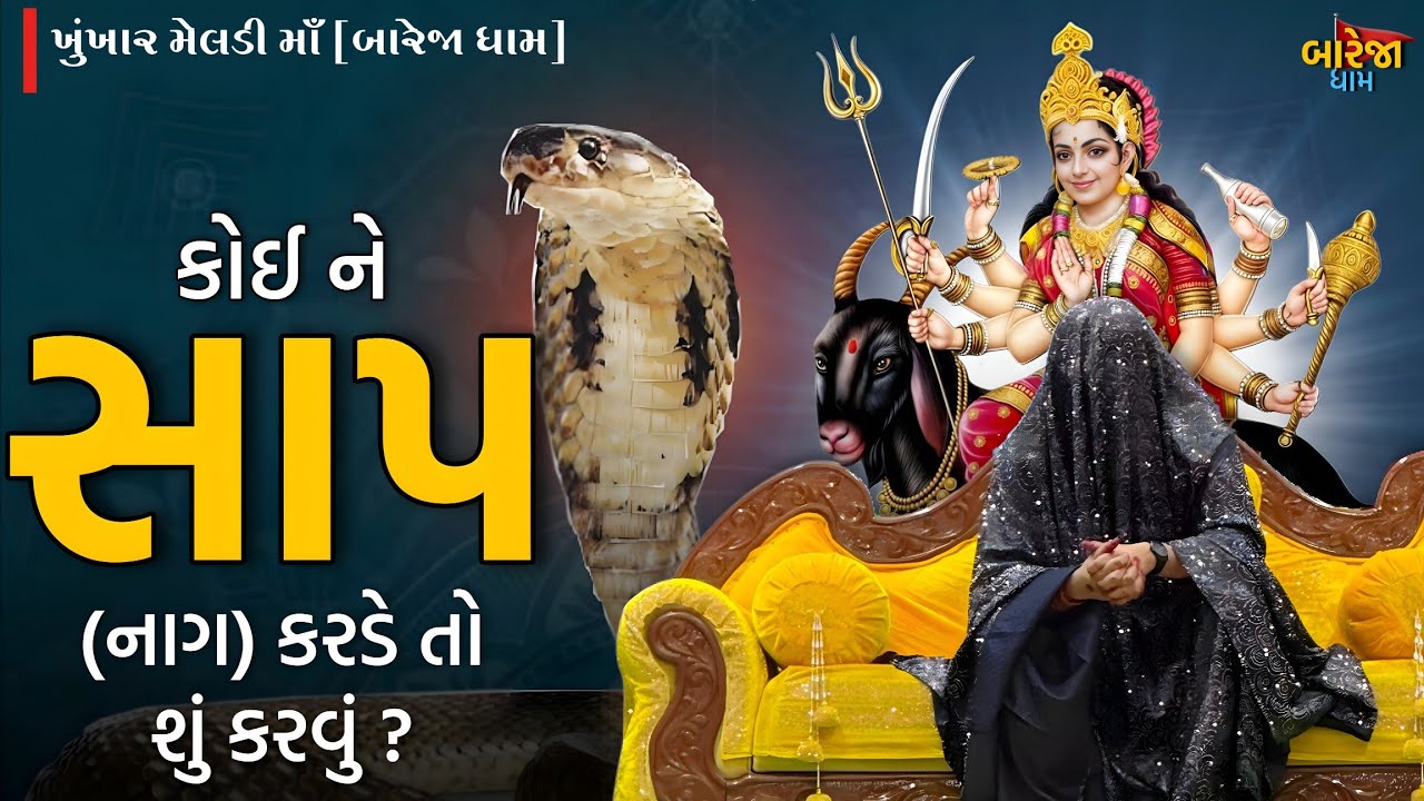 સાપ (નાગ) કરડે તો તાત્કાલિક શું કરવું જોઈએ?//જુઓ...//બારેજા ધામ 🚩(તા.14/12/2025 રવિવાર)