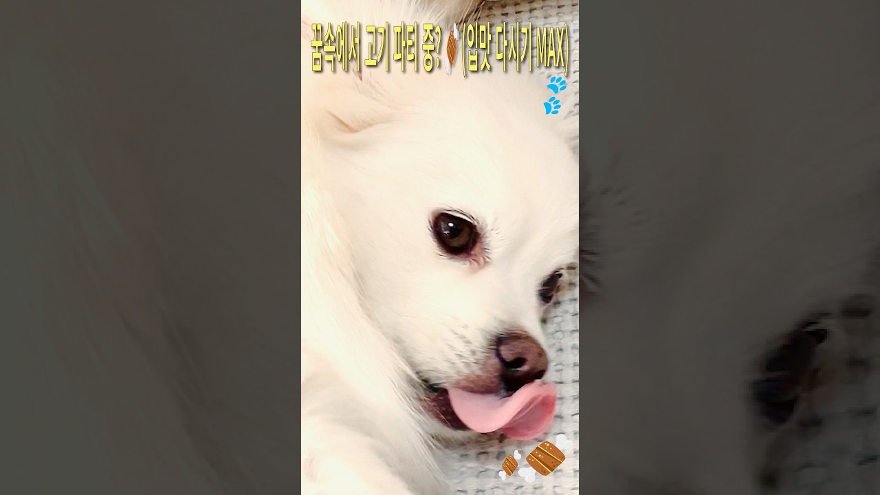 나른한 오후, 감자의 핑크빛 휴식 (화요숨표)