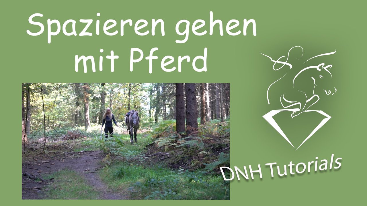Spazieren gehen mit Pferd 1 | Natural Horsemanship