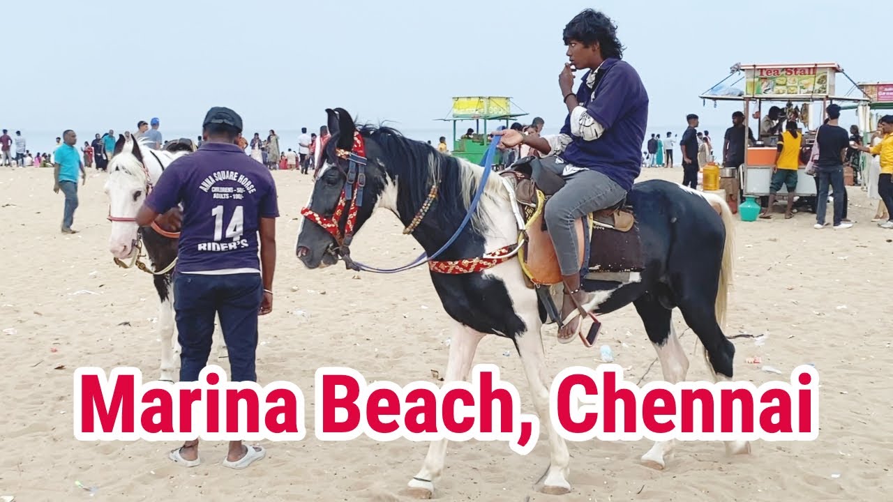 Marina Beach: Chennai's Coastal Wonderland!
