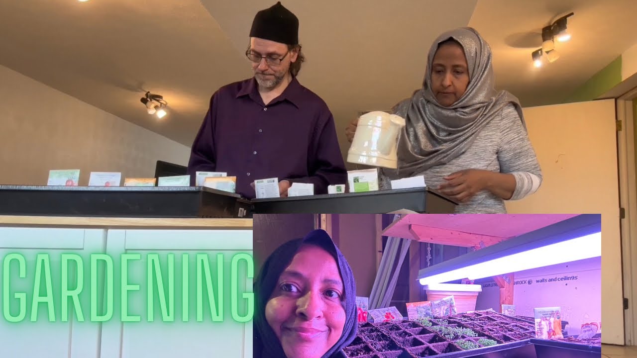 CHEAPEST WAY TO START INDOOR GARDENING|#gardening #homestead #muslim #farming