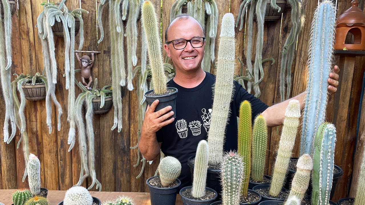 Sítio de Encantos: Dicas de Cactos e uma Recordação dos Jardins Exuberantes!