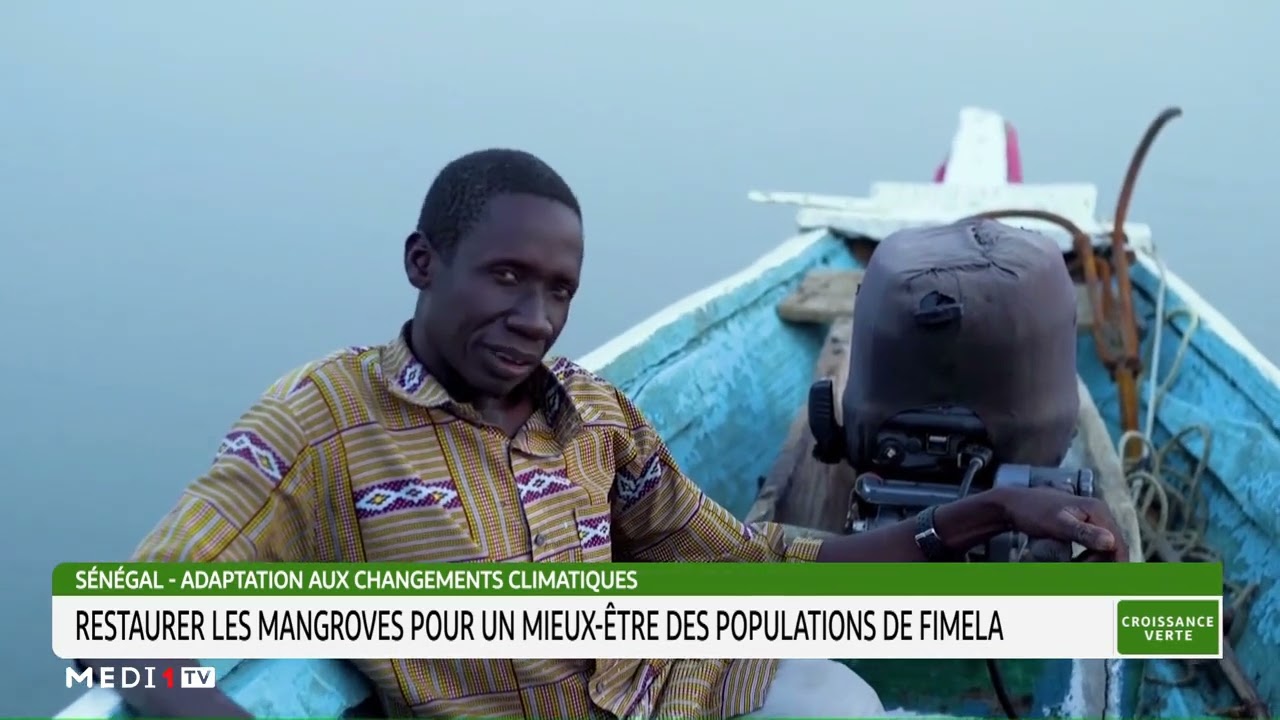 Sénégal: restaurer les mangroves pour un mieux-être des populations de Fimela