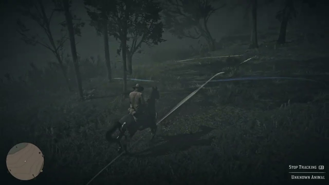 Red Dead Redemption 2_20250804164032