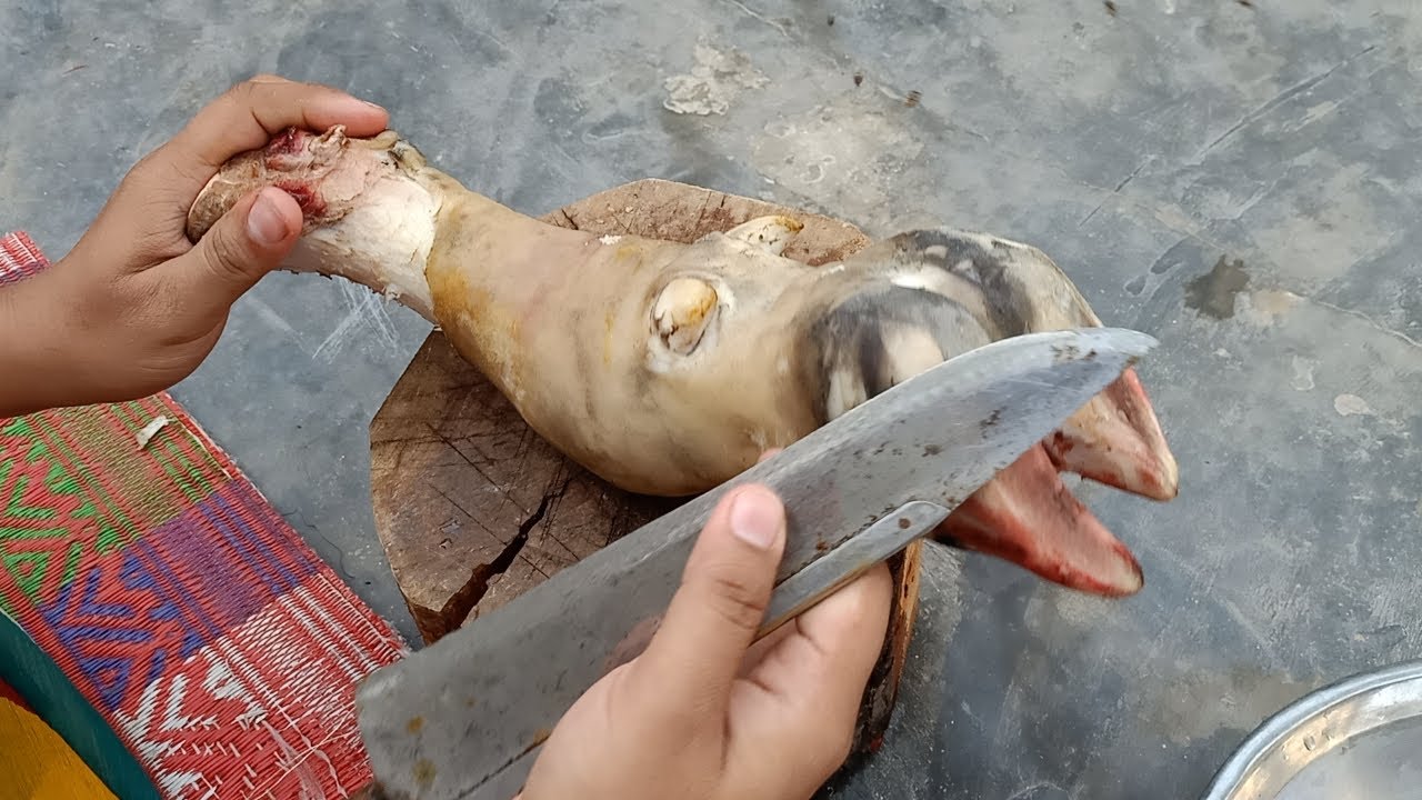 Cow paya cutting | Fastest Paya Cutting Skill | Street Cutting Khi | Paya katne ka tarika