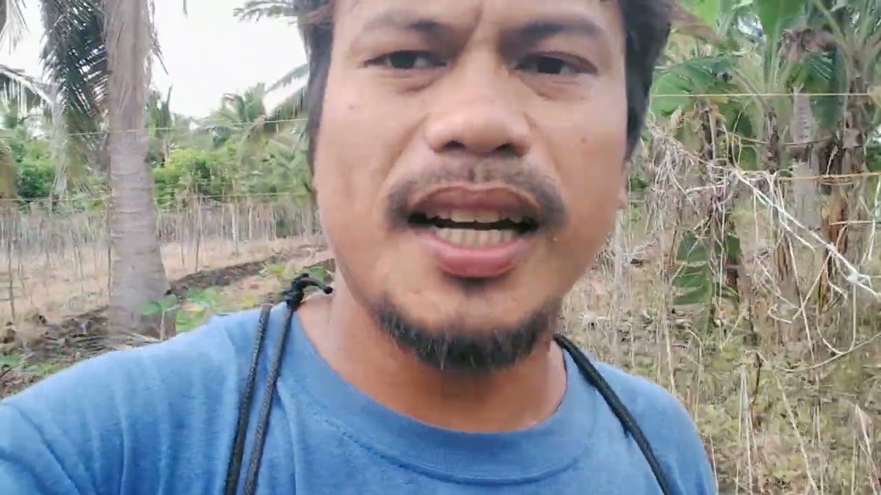 Update sa talong Feb.5