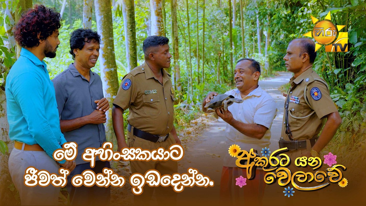 මේ අහිංසකයාට ජීවත් වෙන්න ඉඩදෙන්න.