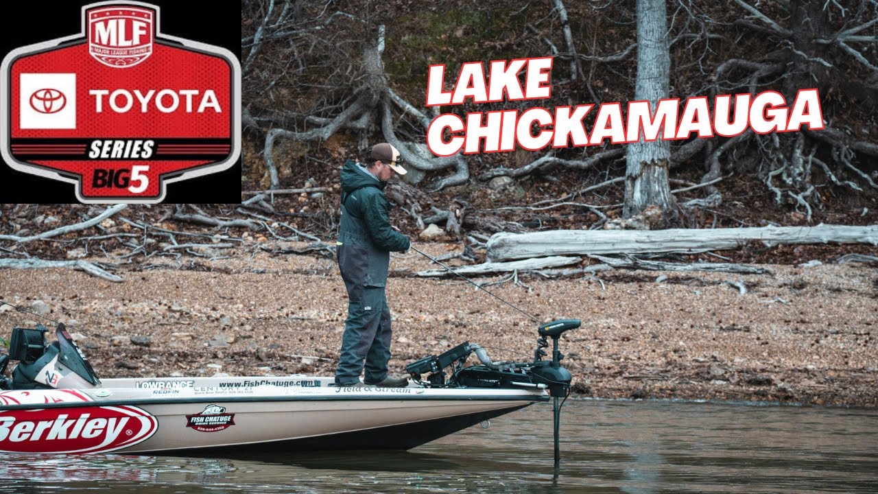 ЭТО ОЗЕРО — БОЛЬШАЯ ФАБРИКА ОКУНЬЕВ (серия Toyota Lake Chickamauga)