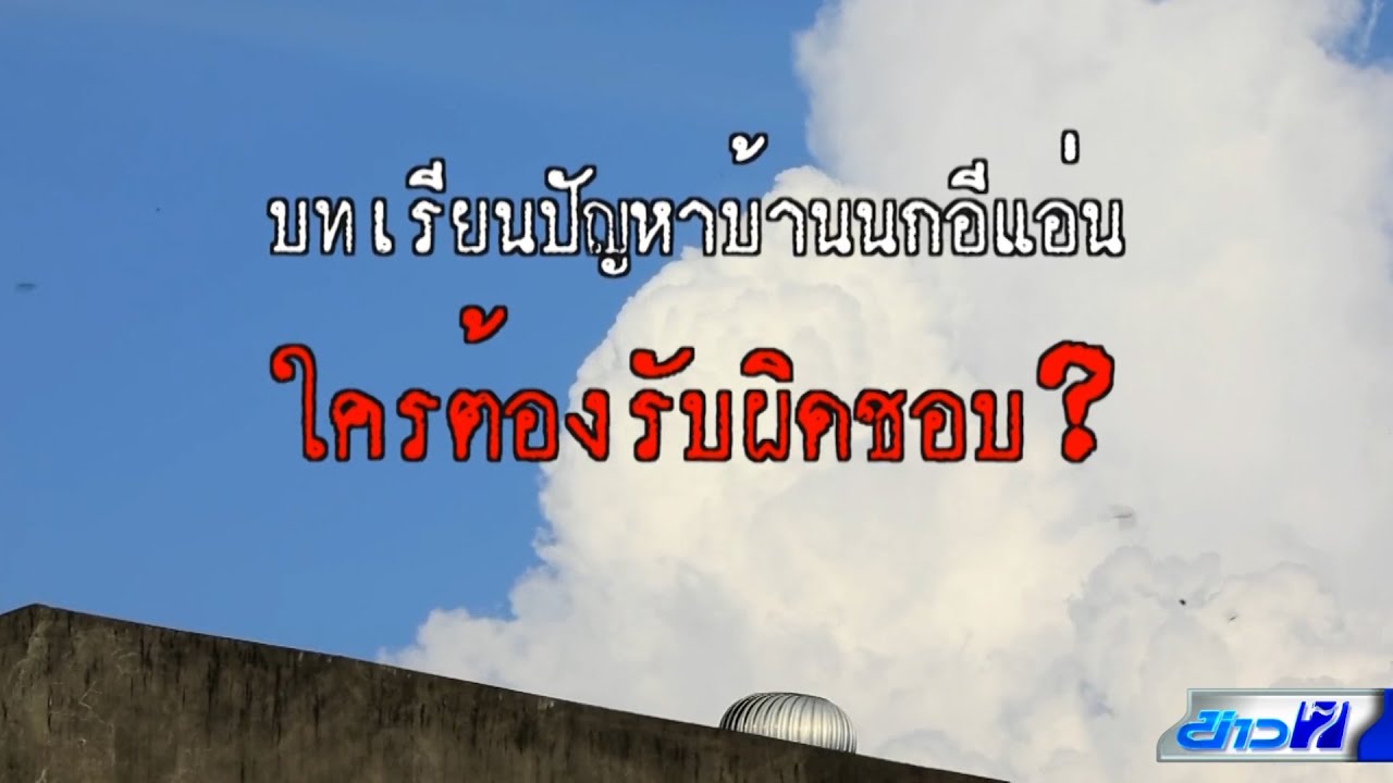 คอลัมน์หมายเลข 7 : ถอดบทเรียนปัญหาบ้านนกนางแอ่นและกฎหมายไทย