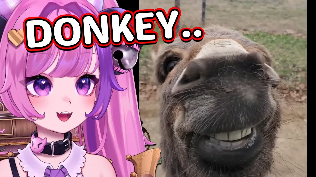 Today, it's Wednesday.. | Ironmouse Reacts to Daily Dose of Internet