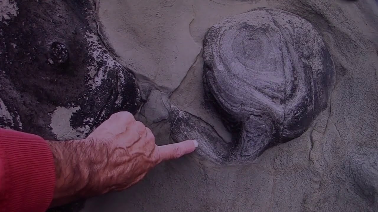 Biological interstitium,tendon balls and geological concretions#1