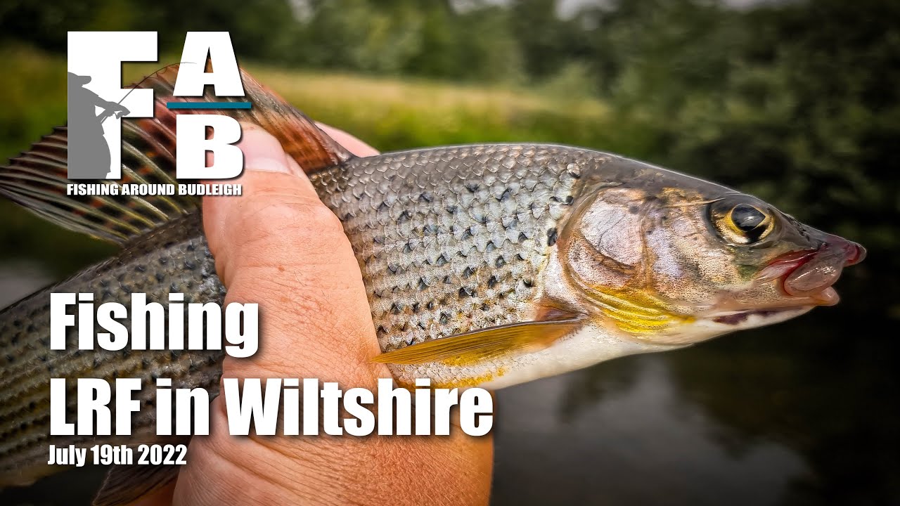 LRF Fishing in Wiltshire - July 19th 2022