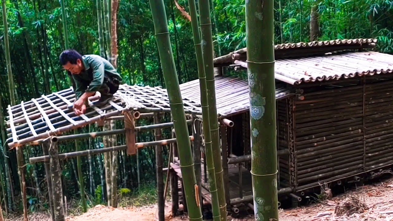 100 Days Making a House Live in the Forest / Build life