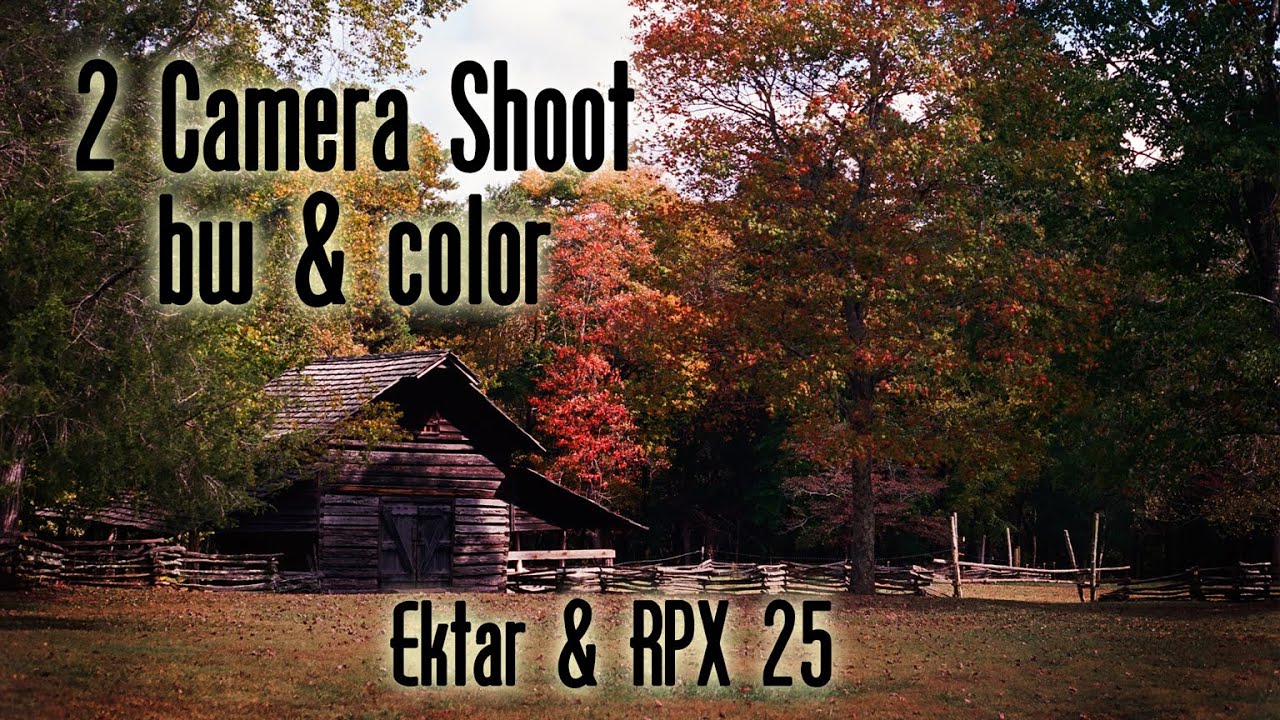 Film Photography - Shooting Color and BW - T70 and Mamiya