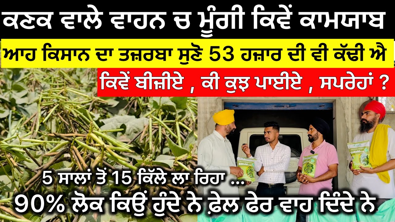 ਮੂੰਗੀ ਦੀ ਫ਼ਸਲ ਕਣਕ ਵਾਲੇ ਵਾਹਨ ਚ ਕਿਵੇਂ ਕਾਮਯਾਬ ਕਰਨ ਵਾਲਾ ਕਿਸਾਨ …. Bansi Gold Moong Video 2025