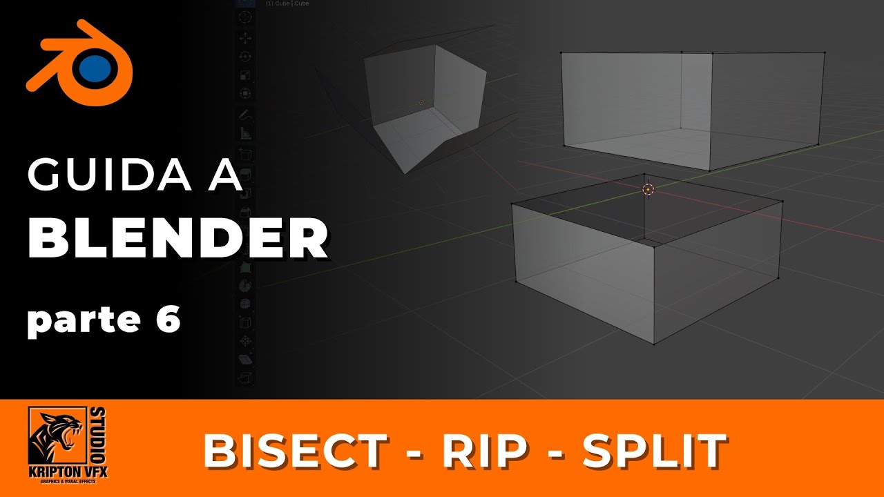 Guida a Blender - Tutto quello che devi sapere - BISECT - RIP - SPLIT - parte 6