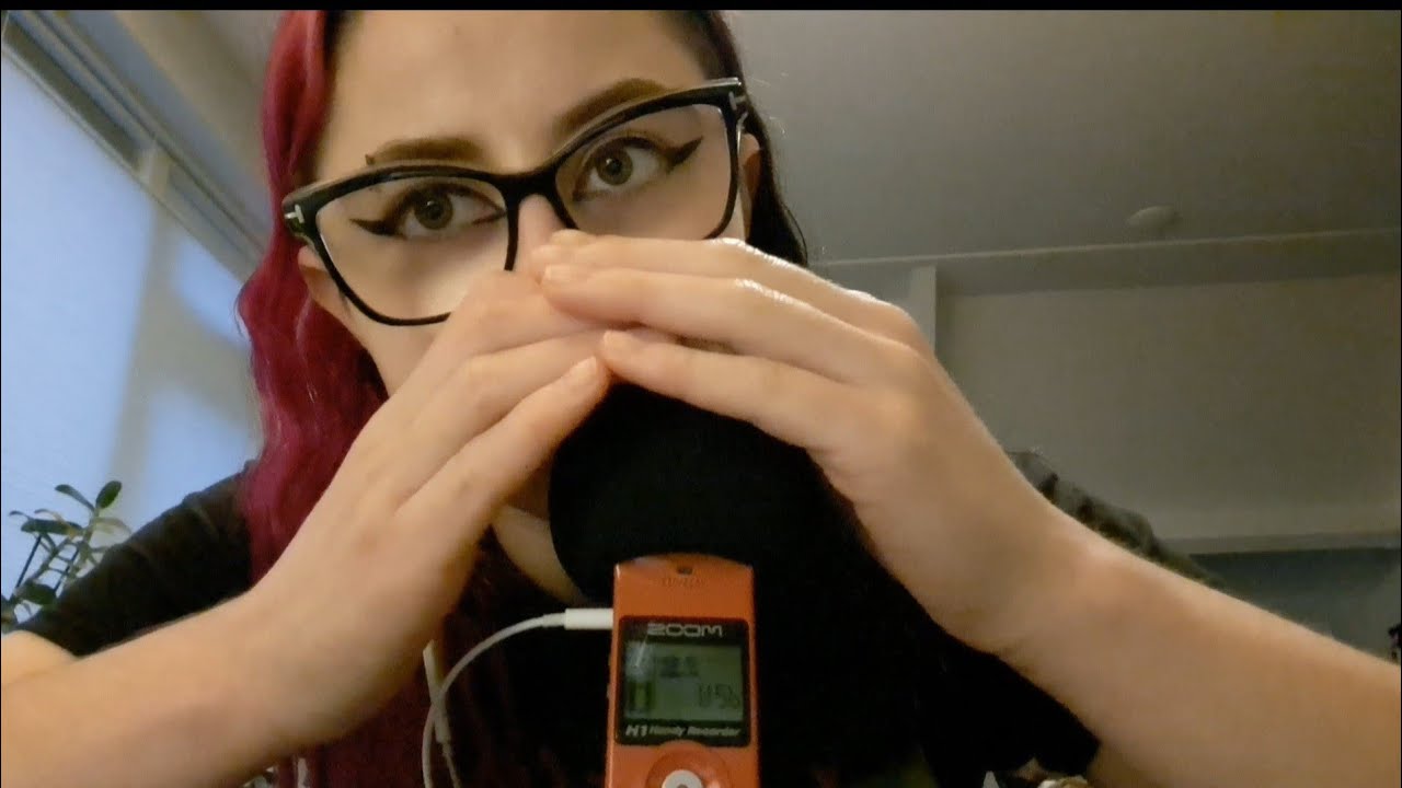 Nederlandse ASMR Inaudible Fluisteren en Switch Game Geluiden