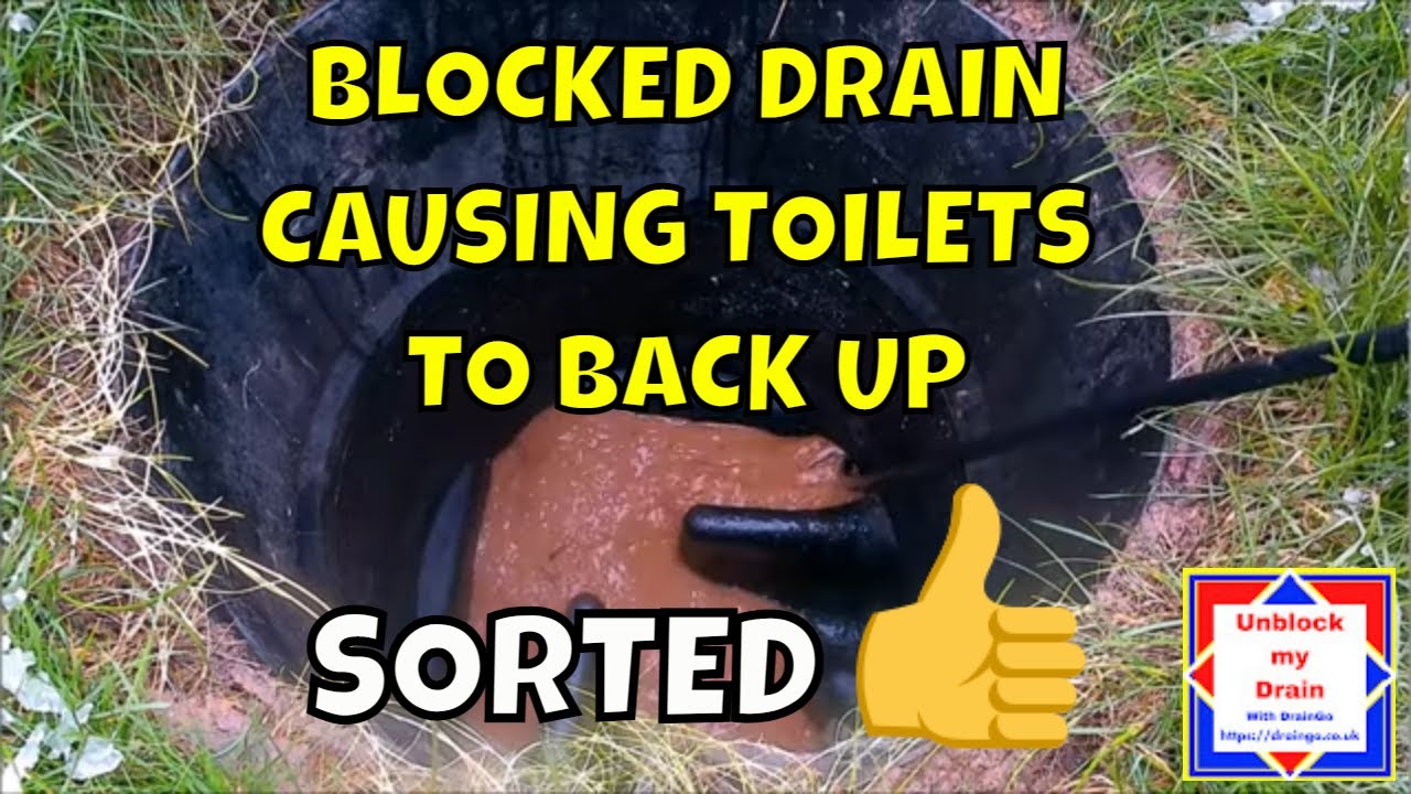 Blocked drain and toilet
