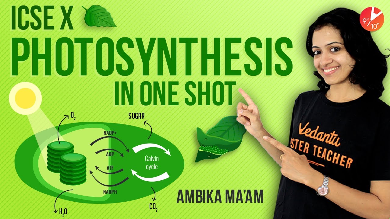 Photosynthesis in One Shot | ICSE/CBSE Class 10 Biology | How Does Photosynthesis Happen? Vedantu