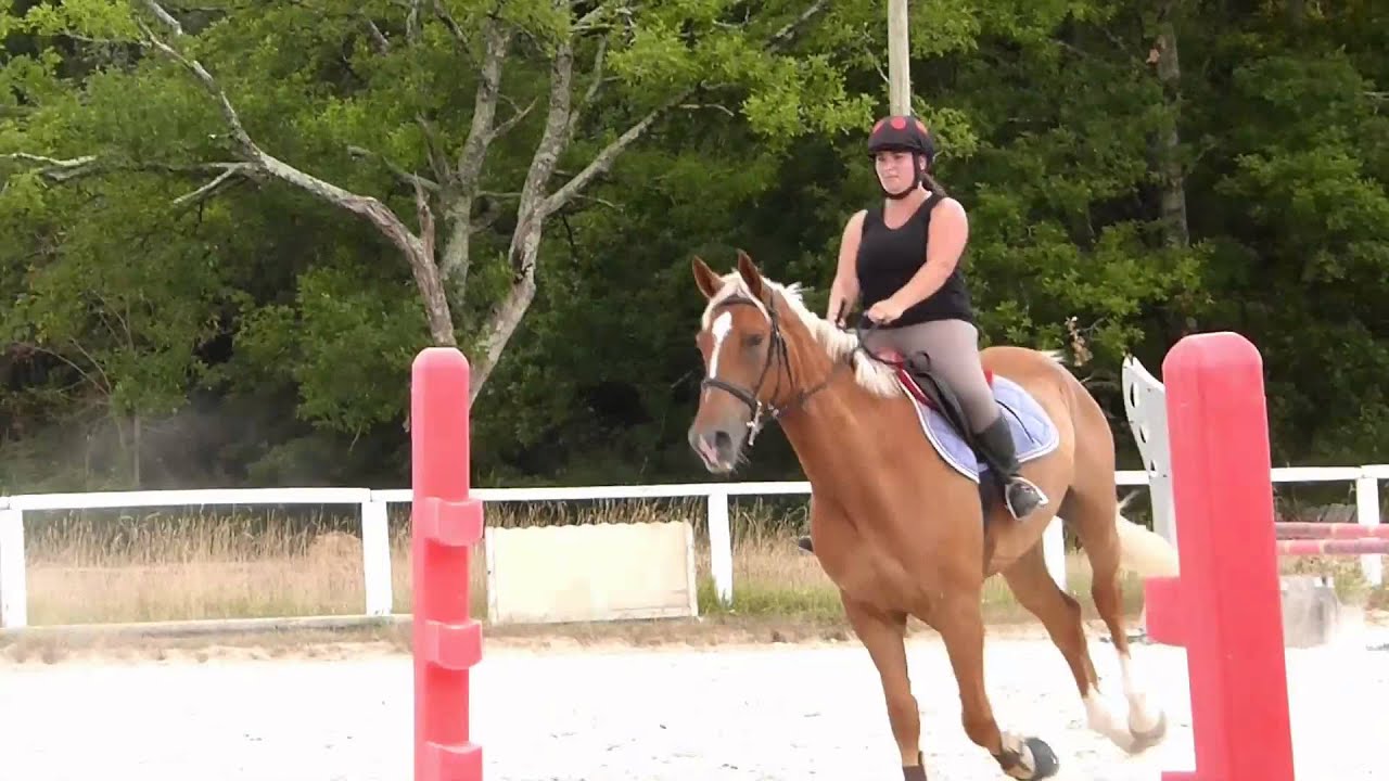 Camille & Tchatcha - Cours d'obstacle 19/07