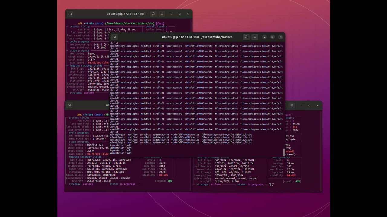 Fuzzing with AFL++ | Step-3+ Analyzing crashes