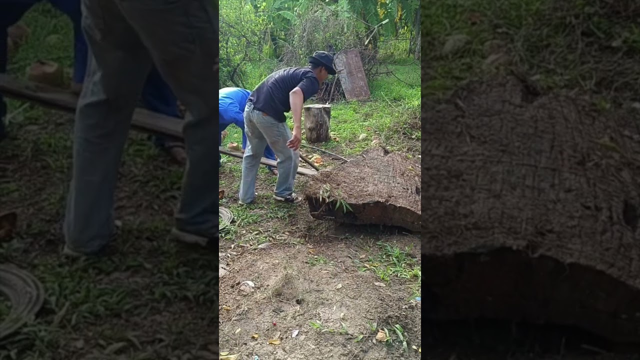Amazing of Large Wooden 
