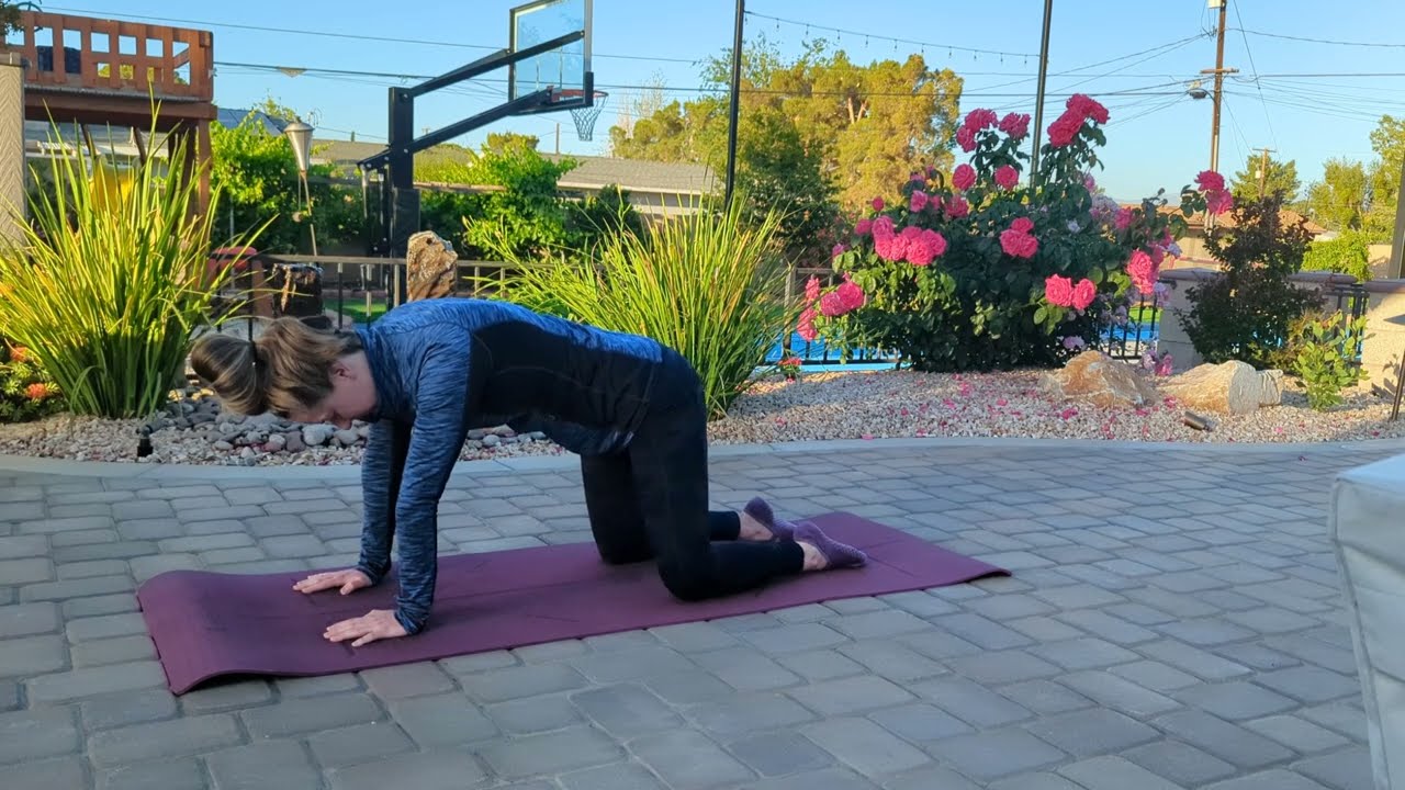 Primitive Reflex Yoga