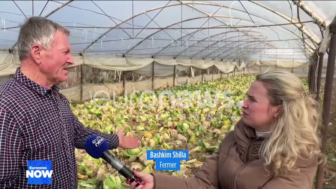 Fermerët e Muriqanit përballë falimentimit pas përmbytjeve dhe ngricave në Elbasan