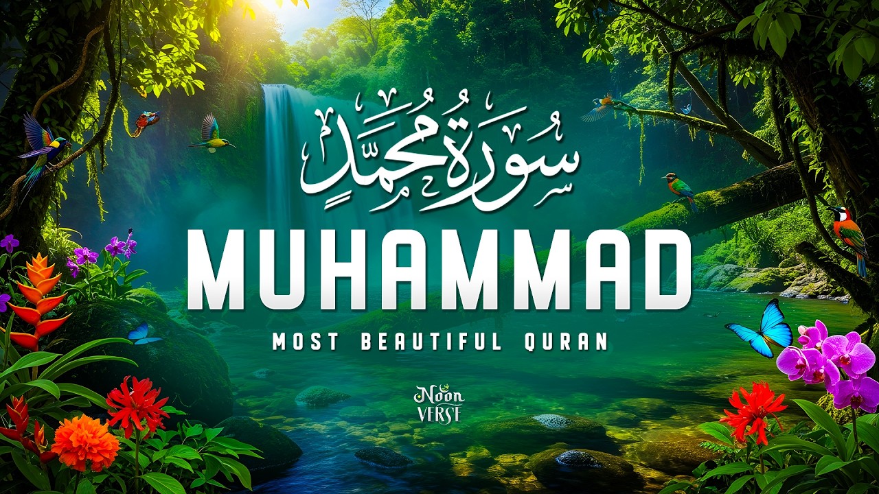 Surah Muhammad سورة محمد | Deep Spiritual Calm & Heart Touching Recitation | Noor Verse