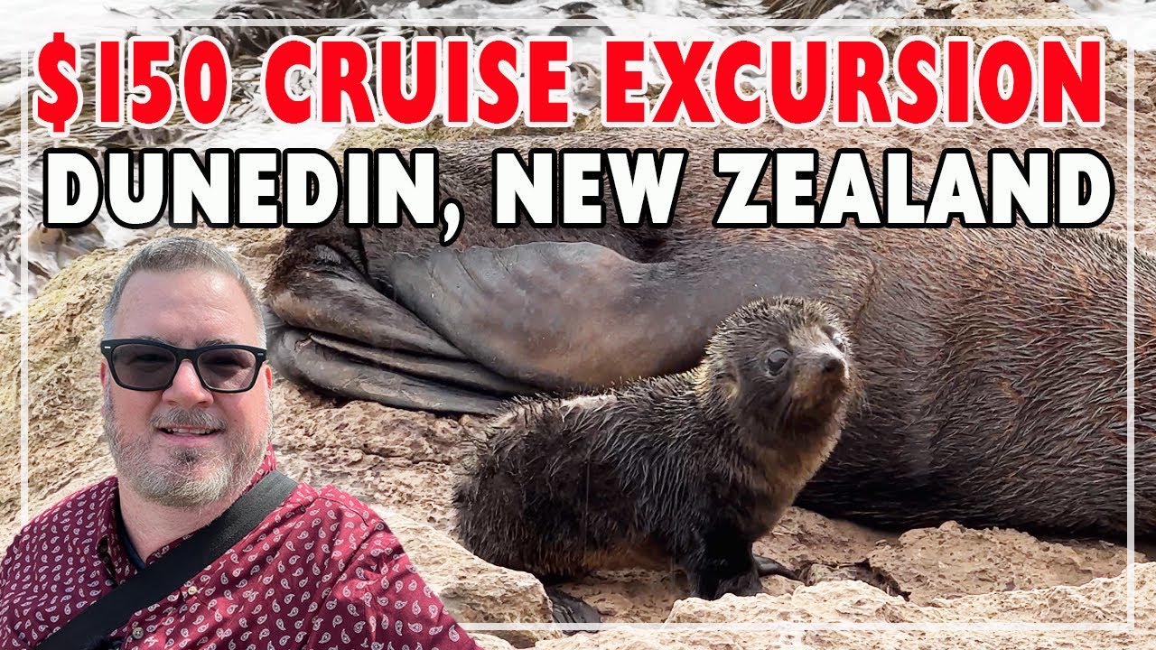 Natures Wonders Cruise Excursion Dunedin, New Zealand