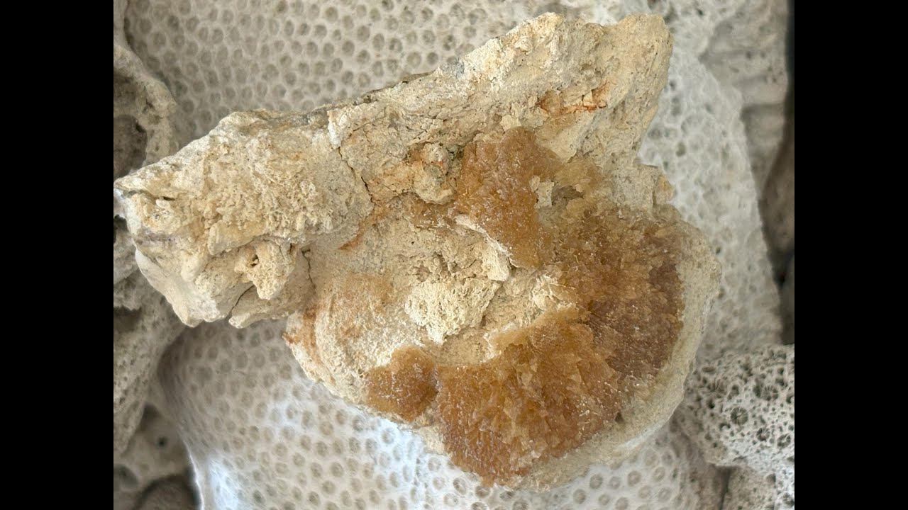 Cutting and cleaning the roadside Calcite finds!