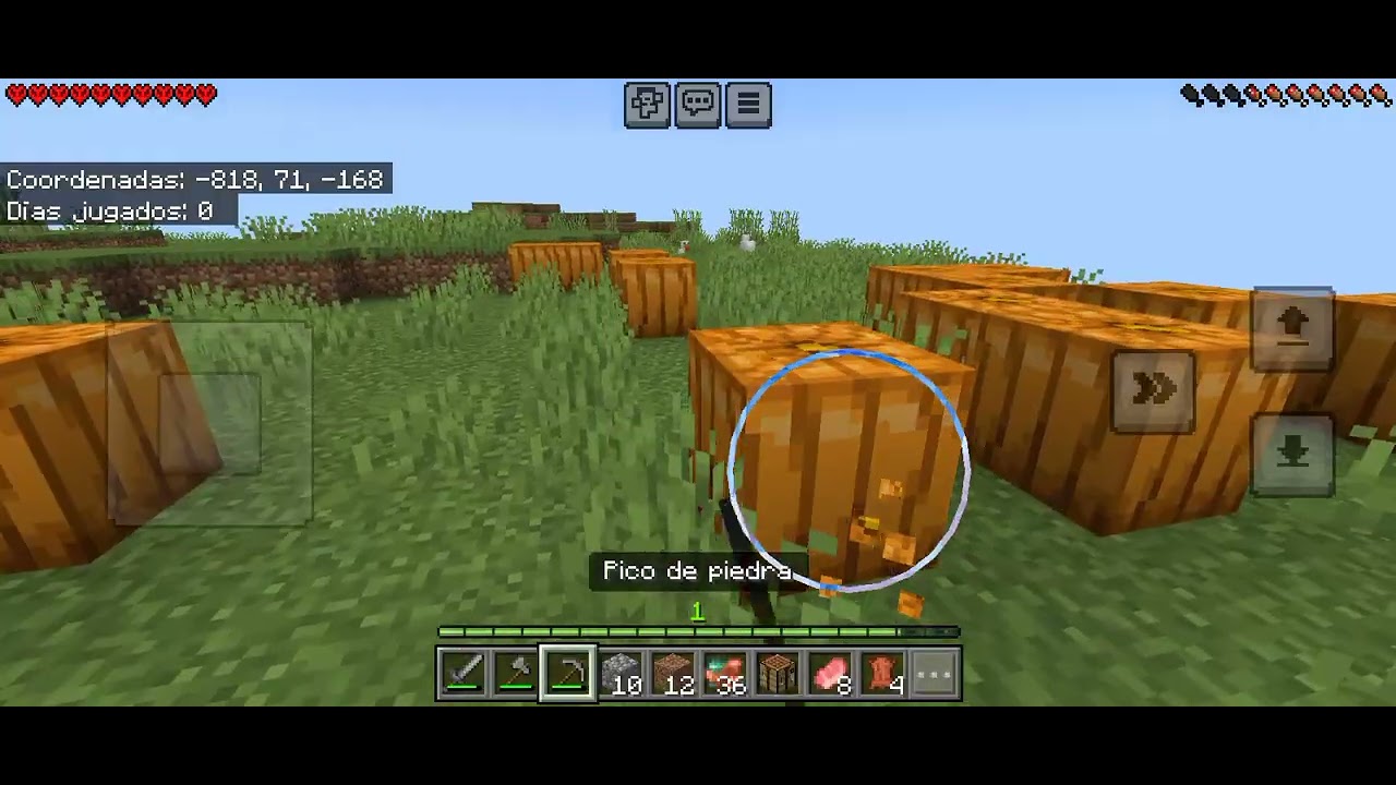Nuevo reto de Minecraft en modo hardcore 
