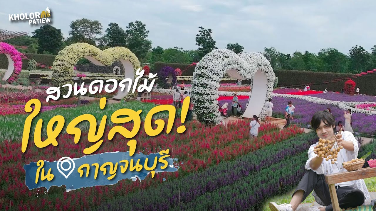 เที่ยวสวนเมเปิ้ล สวนดอกไม้ใหญ่ที่สุดใน จ.กาญจนบุรี l เกาะล้อ พาเที่ยว